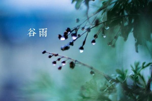 谷雨节气的习俗是什么？吃什么传统食物好