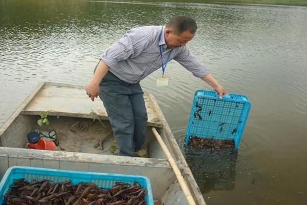 花甲死了能吃吗？吃了会怎么样？海鲜花甲的食用禁忌