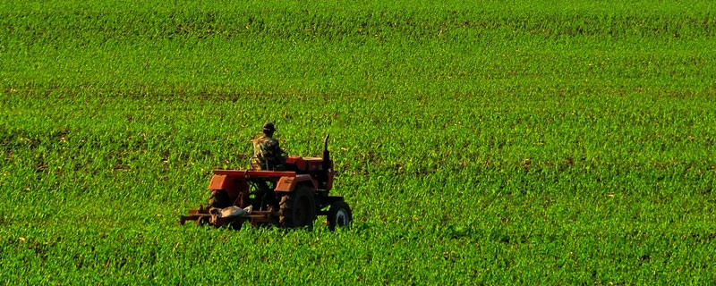 超过70%的农民工就地过年是怎么回事？过年有什么补贴